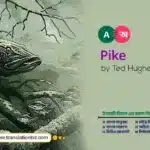 Pike by Ted Hughes in Bangla