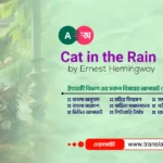 Cat in the Rain Bangla Summary and Analysis