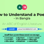 How to Understand a Poem? - In Bangla