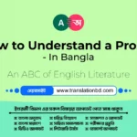 How to Understand a Prose? - In Bangla How to Understand a Prose? - In Bangla