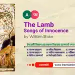 The Lamb (Songs of Innocence) Bangla Summary The Lamb in Bangla