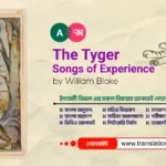 The Tyger (Songs of Experience) Bangla Summary