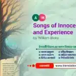 Songs of Innocence and Experience